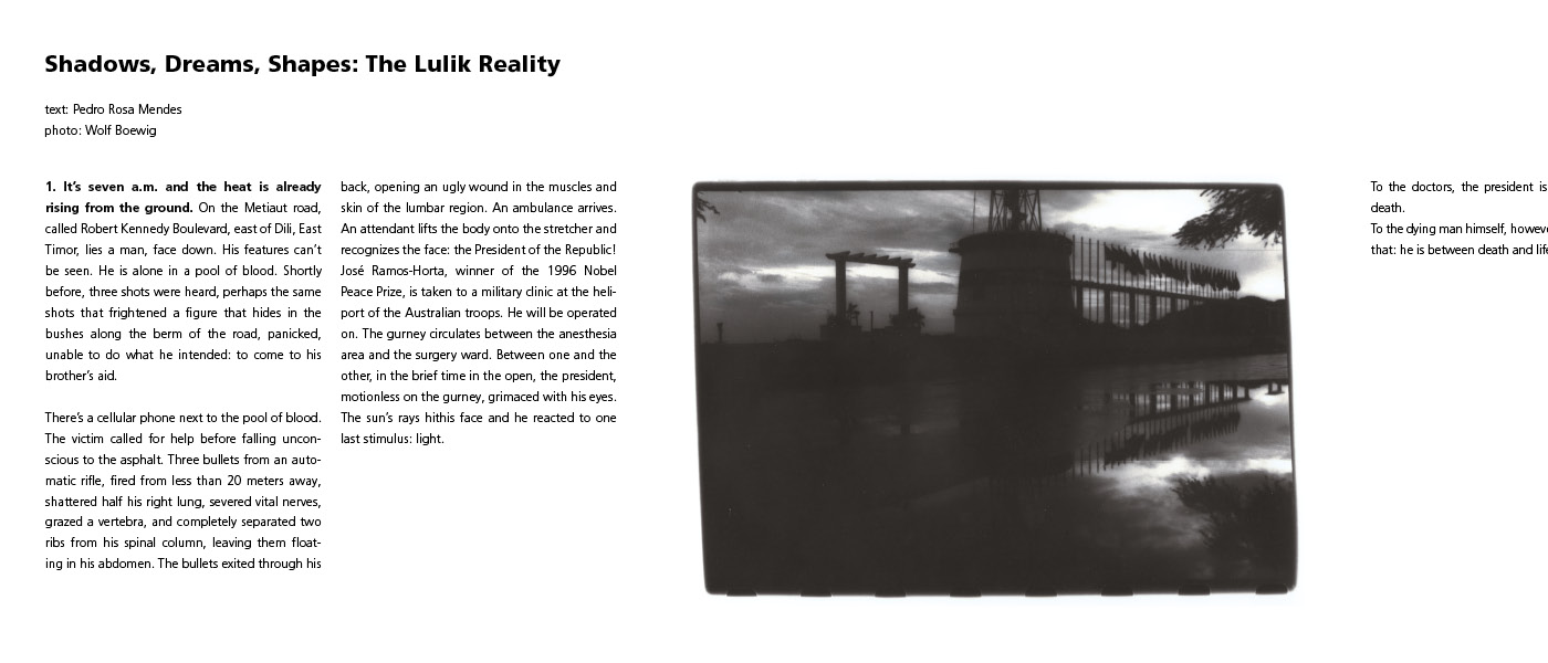 Bildstreifen "Shadows, Dreams, Shapes: The Lulik Reality" aus dem Ausstellungsprojekt "exhibit out of a box"